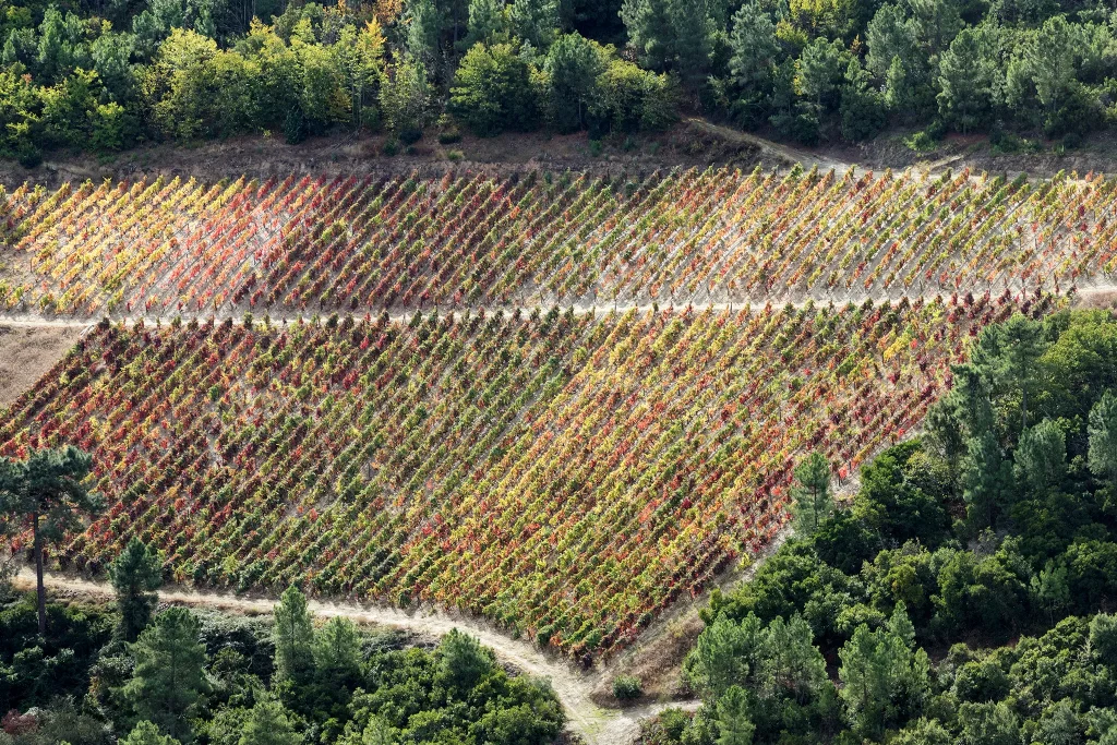 Arquitectura; Fotografia de Interior; Real State; Architecture; Fotografia de Arquitectura - Casa Gouvães vistas