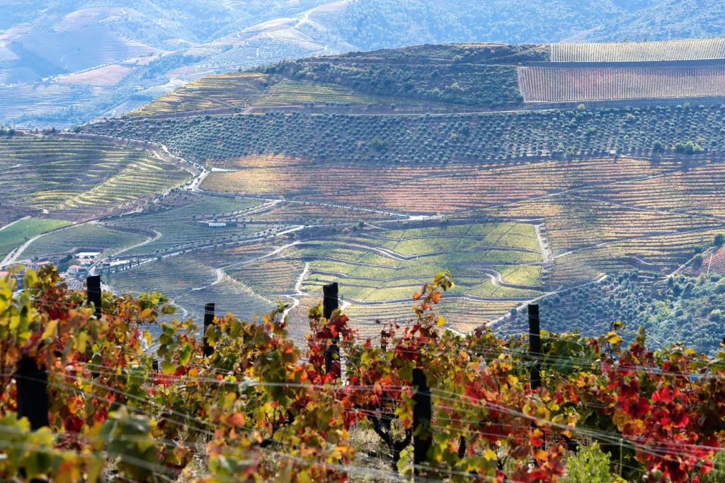 Arquitectura; Fotografia de Interior; Real State; Architecture; Fotografia de Arquitectura - Casa Gouvães vistas