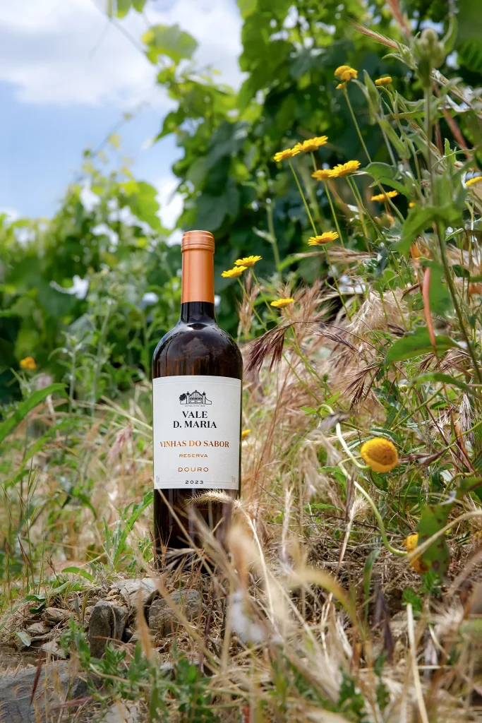 Vinho; Wine; Vidro; reflexos; Garrafa de Vinho Vale Dona Maria - Vinhas do Sabor - Reserva; Douro; Fotografia de Estúdio exterior
