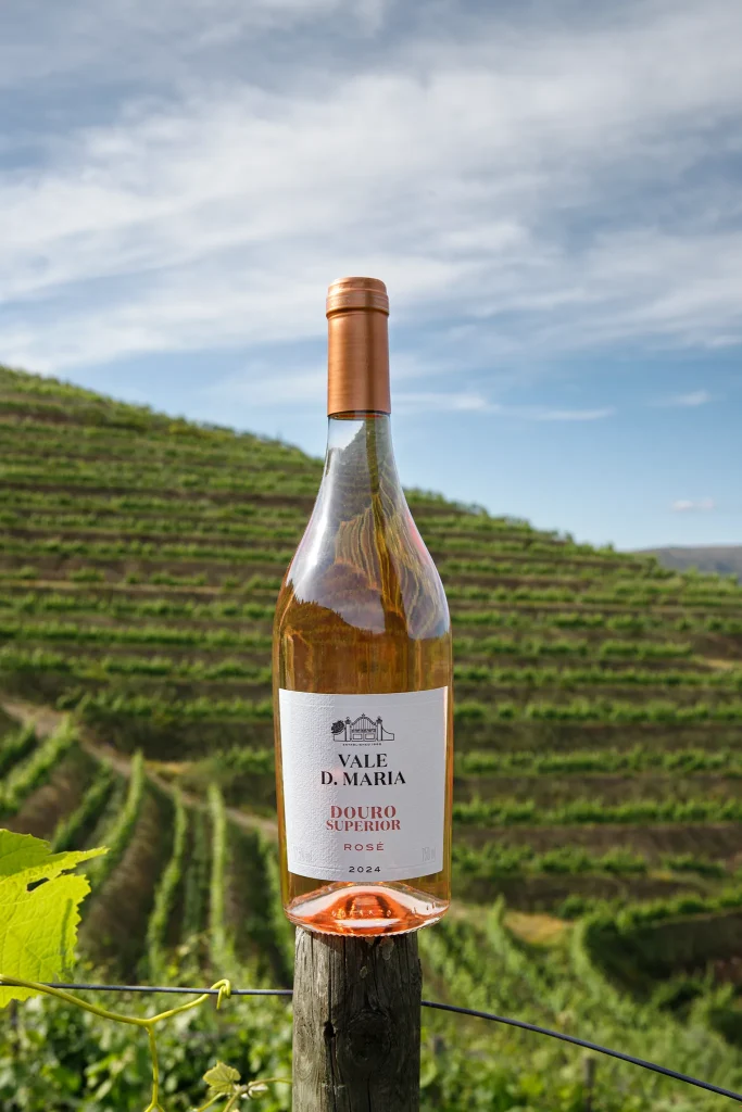 Vinho; Wine; Vidro; reflexos; Garrafa de Vinho Vale Dona Maria - Douro Superior Rosé - Reserva; Douro; Fotografia de Estúdio exterior