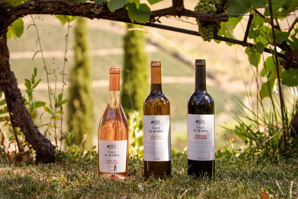 Vinho; Wine; Vidro; reflexos; Garrafa de Vinho Vale Dona Maria - Vinhas do Sabor - Reserva; Douro; Fotografia de Estúdio exterior