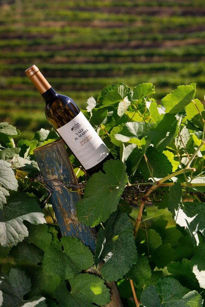 Vinho; Wine; Vidro; reflexos; Garrafa de Vinho Vale Dona Maria - Douro Superior; Douro; Fotografia de Estúdio exterior