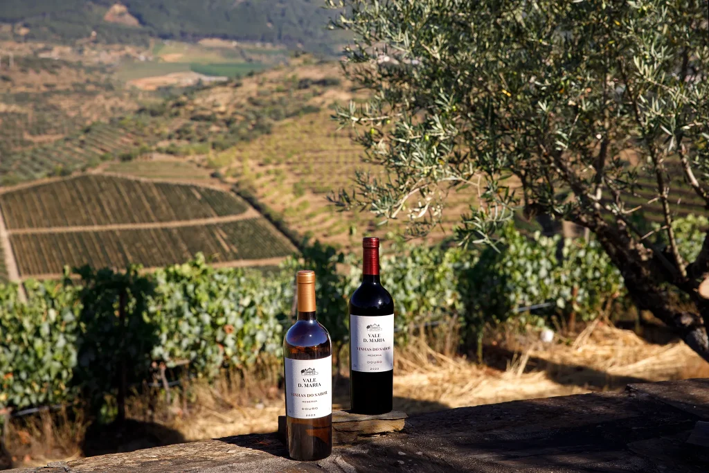 Vinho; Wine; Vidro; reflexos; Garrafa de Vinho Vale Dona Maria - Vinhas do Sabor - Reserva; Douro; Fotografia de Estúdio exterior